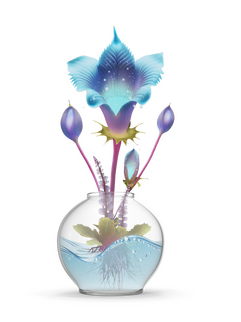 Venilune inside the glass pot for Alpharodite.